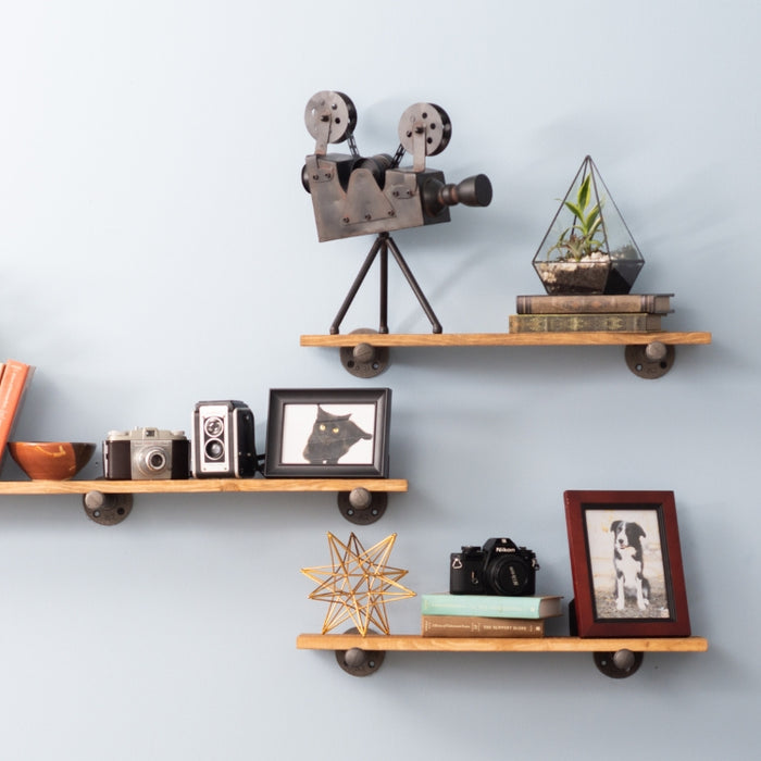 Image of a stylish floating shelf by PIPE DECOR®, displaying a globe, books, camera, and succulents against a soft green wall