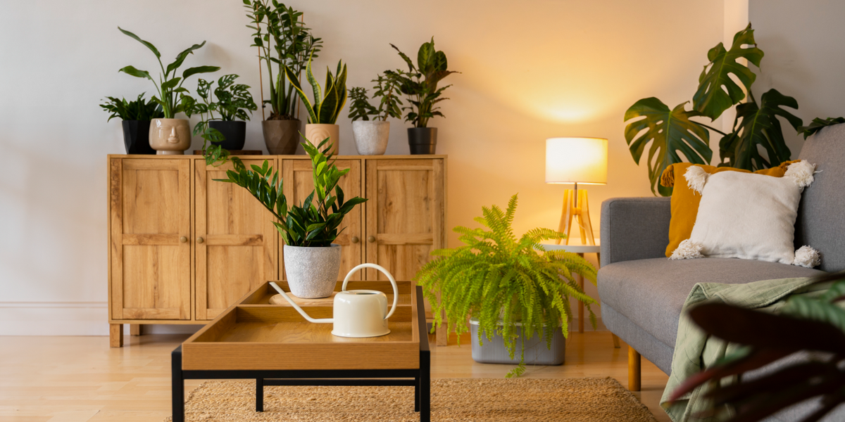 Image showcasing Eco-Chic: The Rise of Artisanal and Sustainable Furniture — PIPE DECOR