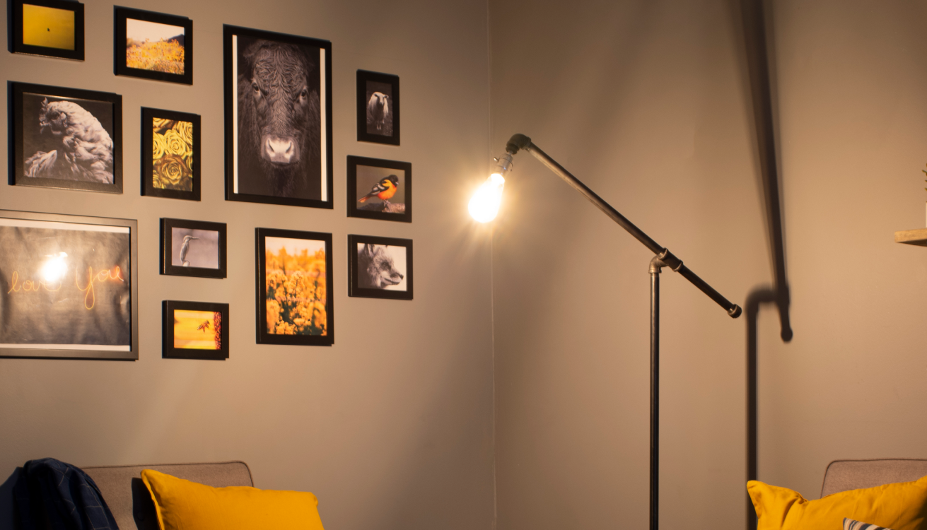 Blog Image Cover for How to Choose The Right Industrial Lighting or Your Space