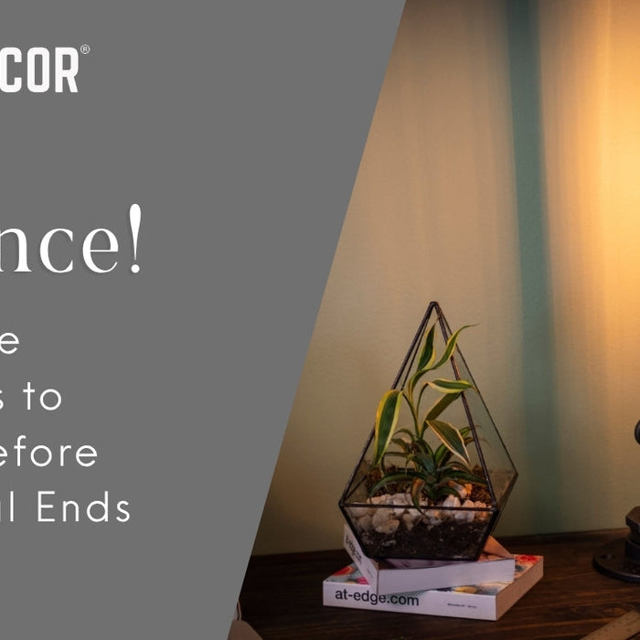 Last Chance: Fall Pipe Projects to Build Before the Deal Ends