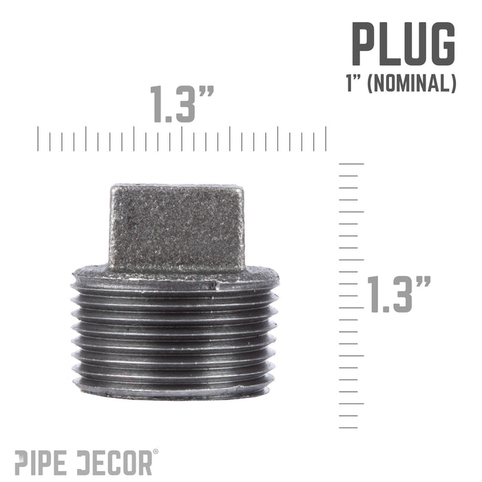 1 in. Black Plug