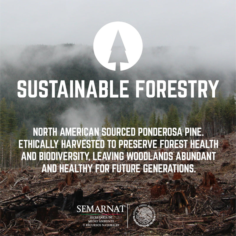 RESTAURAR Escritorio de oficina de madera maciza de cedro Sunset